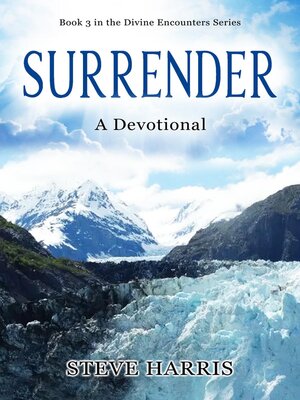 cover image of Surrender
